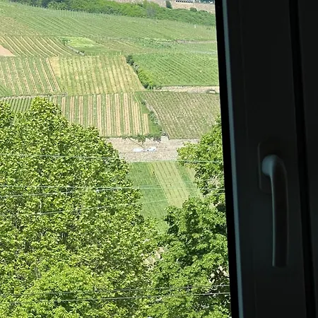 Appartamento Design Am Rhein - Traumlage Rheinufer I Kueche I Oeffentl Parkplaetze Bingen am Rhein Esterno foto