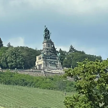 Appartamento Design Am Rhein - Traumlage Rheinufer I Kueche I Oeffentl Parkplaetze Bingen am Rhein Esterno foto